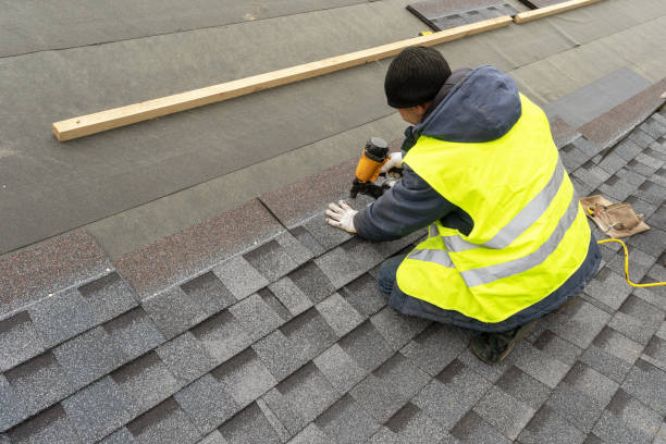 Best Flat Roof Repair Services  in Carpentersvle, IL