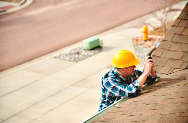 Best Roof Gutter Cleaning  in Carpentersvle, IL