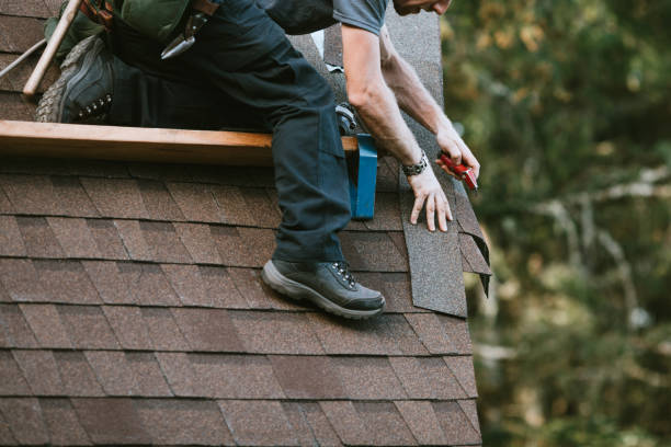 Best Gutter Installation and Roofing  in Carpentersvle, IL